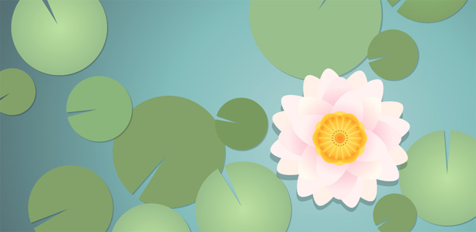 The result of the water lily placed in a natural environment